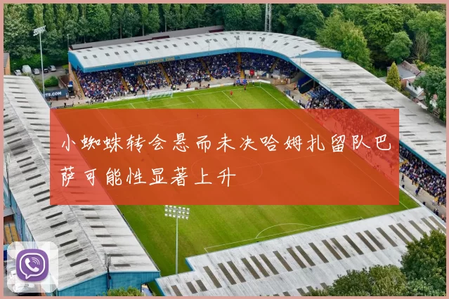 小蜘蛛转会悬而未决哈姆扎留队巴萨可能性显著上升